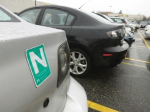 Some driving schools like to display an “N” or “L” label on their cars, but it is not required. Photograph by: Times Colonist file 